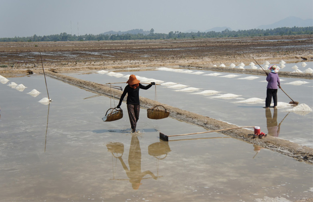 Salt Manufacturing Kep 1